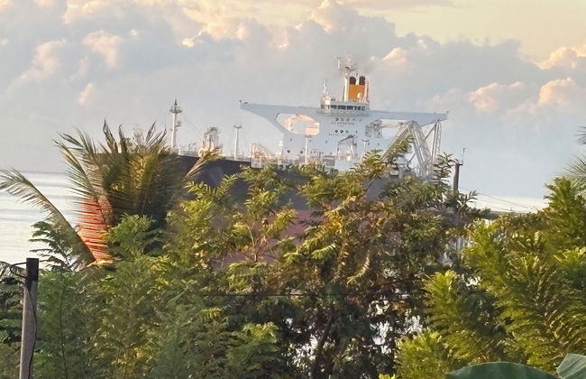 Perla Pacifico - Foto 33