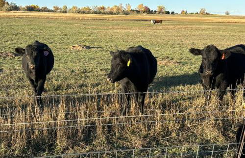 A Peaceful Slice of Heaven Near Boulder - Foto 45