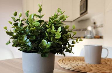 Moreda 48 - 2 Hab y 2 Baños - Garaje y Wifi - VUT-4961-AS - Foto 19