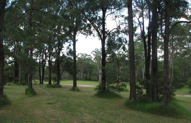 Lovedale Cottages - Photo 27