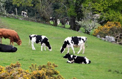 4 Bed in Llanrwst oc-66510 - Foto 27