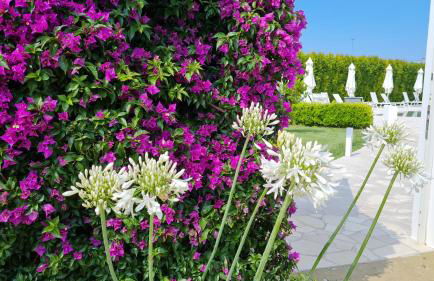 I MESTRI Holiday Homes - Foto 18