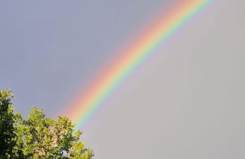 at Bauernsee Modern Retreat - Foto 17