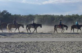 Siviero Apartments - Foto 50