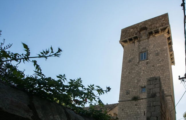 Coral House - Foto 30