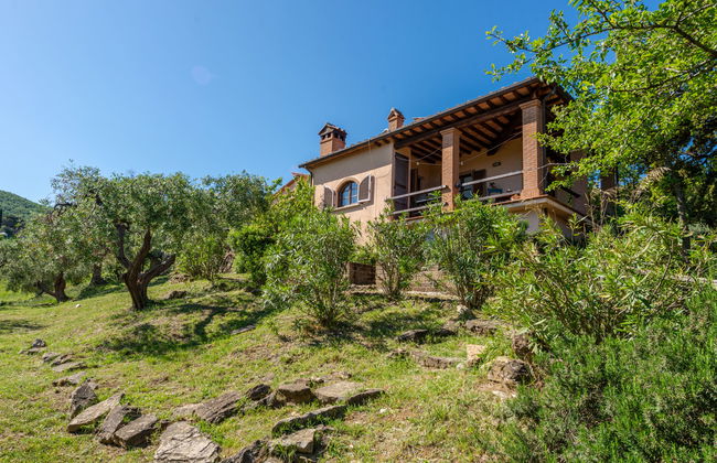 La Limonaia - Foto 1