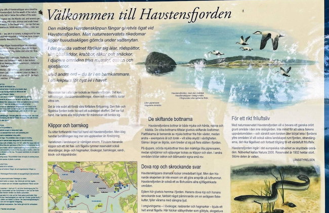 4 Person Holiday Home in Uddevalla-by Traum - Foto 6