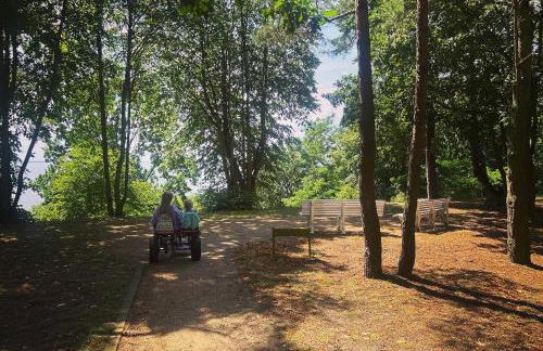 Ferienhaus Fischerhuus - Foto 24