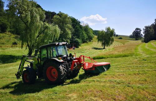 Schrauts Unwesen - Photo 59