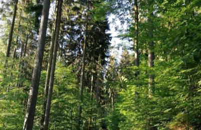 Ferienwohnung Hänel - Foto 25