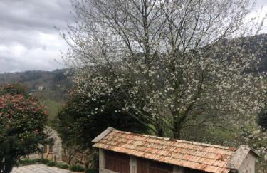 QUINTA do SOUTO BARCIADEMERA - Foto 67