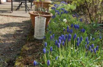 Holiday Home Landleben by Interhome - Foto 6