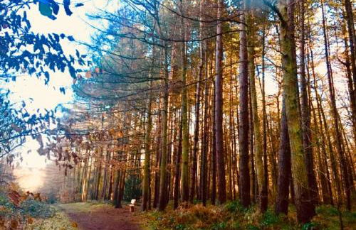 The Old Dairy - Foto 30