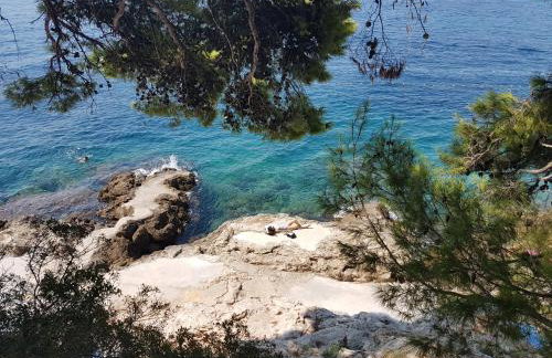 Villa Paulina - Photo 47