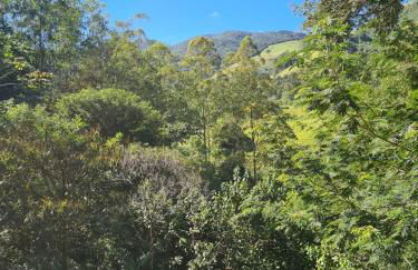 Chácara das Araucárias - Foto 59