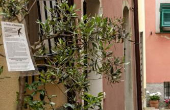 Olly Home Montemarcello - Foto 18