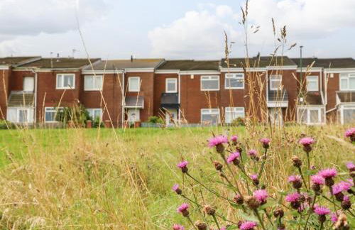 Sea View Cottage - Photo 1