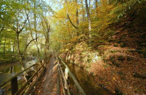 Herzstück Simonskall - Foto 16