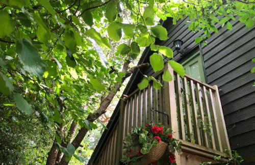 The Nest Danehill - Foto 33