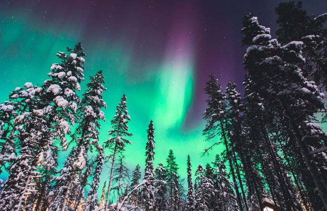 Visite des aurores boréales de Sirkka - Photo 3