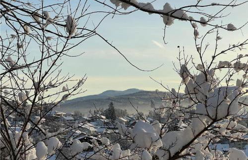 H.Aus.Zeit Ferienwohnungen Stockbauer - Photo 42
