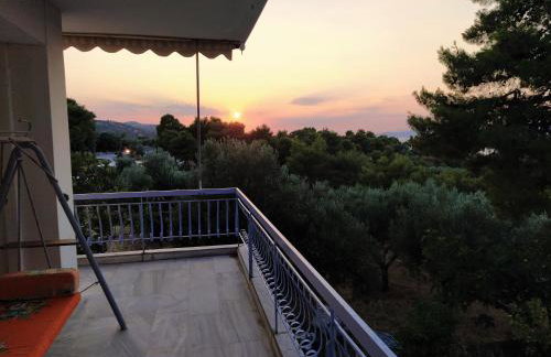 Panorama View Apartment 1 - Foto 21