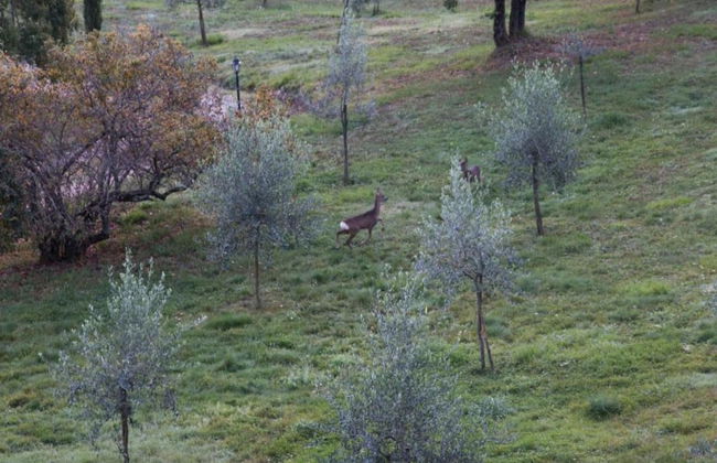 Apartment in the Village With air Conditioning - Foto 38