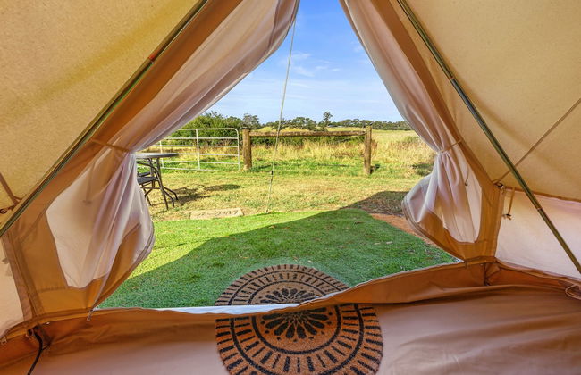 Forrest Holiday Park - Photo 15