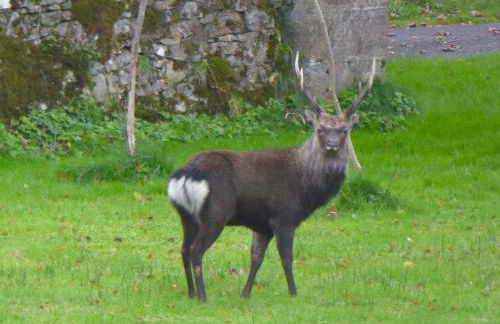 Triumphal Arch Lodge - Foto 6