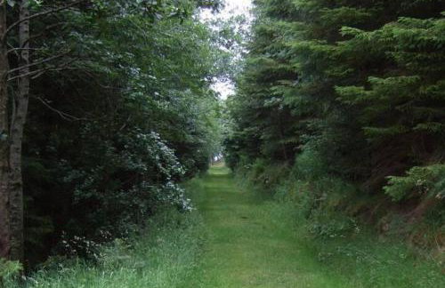 3-Bed Cottage Near Lake Vyrnwy Garden & PetsOk - Foto 11