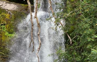 The Cwtch, Log Fire, Sleeps 6, Nr Zip World, Brecon and Bike Park Wales - Photo 48