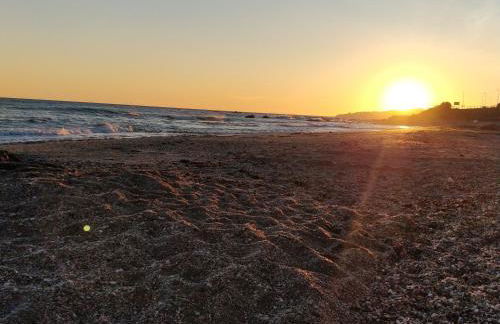 Golden Estudio - Photo 12