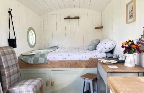 Cosy Devon Hut Woodland Views - Photo 78