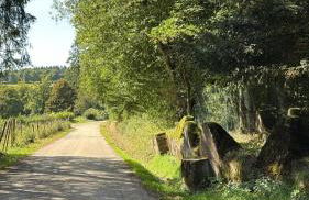 Haus Porsche - Foto 30