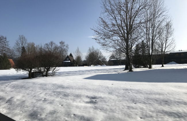 Chiemgautraum - Foto 15