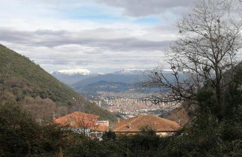 I Limoni di Matteo - Foto 12