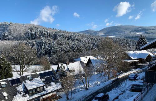 Black Forest Brandenkopfblick - Foto 26