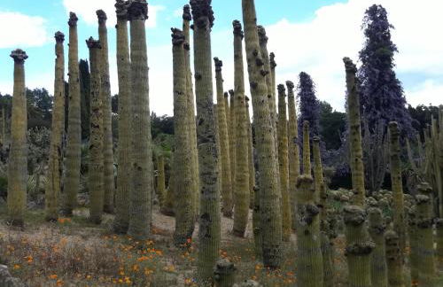 LA VILLA DEL PARAISO - Foto 28