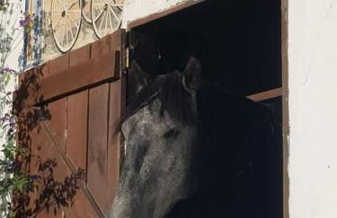 Casa Fernando Casquinha - Foto 21