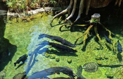 Blue Marine Home - Parking, Pool, AC, WiFi - Photo 27