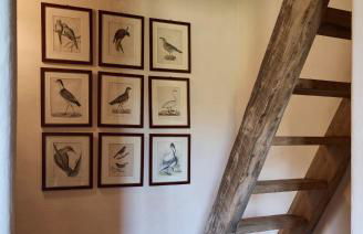 Quercia Rubra - Photo 24