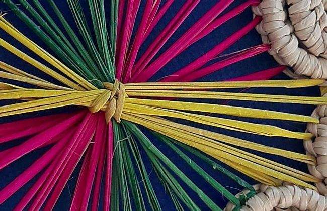 Usiacurí Excursion - Photo 1