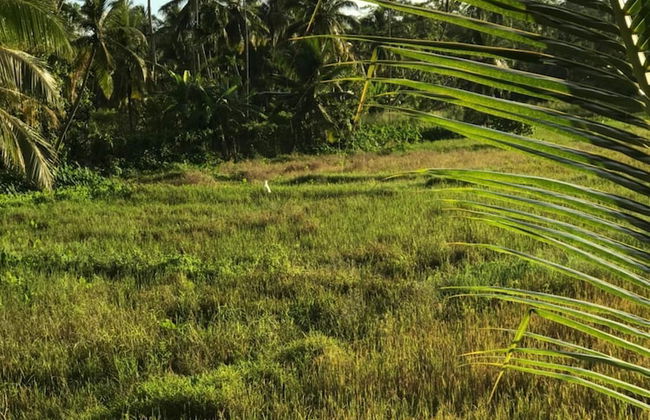 Siyambala Villa - Foto 35