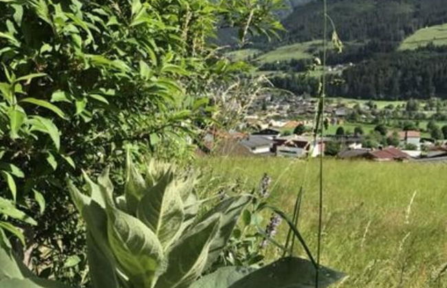 Boutique Apartment in Salzburg - Foto 23