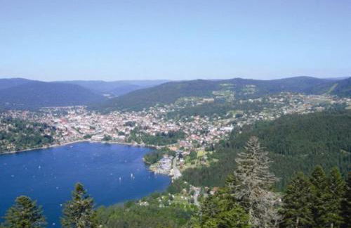 Gîte Confortable en Pleine Nature avec Cheminée et Accès Direct aux Sentiers, Proche Gérardmer et Lac - FR-1-589-124 - Photo 2