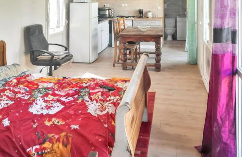 Studio confortable à Bellerive-sur-Allier 30 m² avec jardin - Foto 1