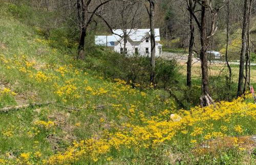1878 Victorian Farm House near Asheville - Foto 39