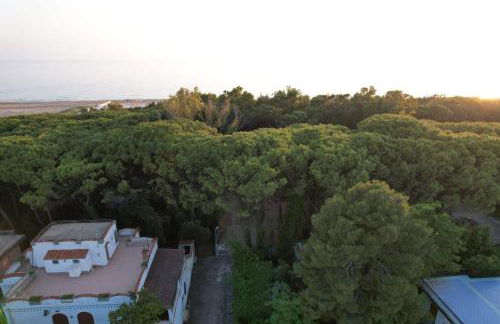 Casa Athena a 100 m dal mare con parcheggio privato gratuito - Foto 33