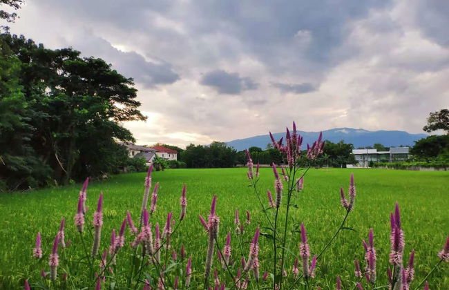 Momoka Luxury Villa - Foto 10