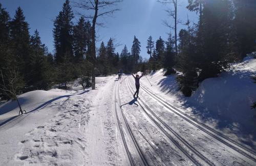 Apratmán Julie – Bavorská Ruda - Foto 39